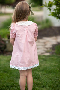 Lace Collar Dress